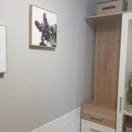 нов луксозен богоров в центъра на града * Warna