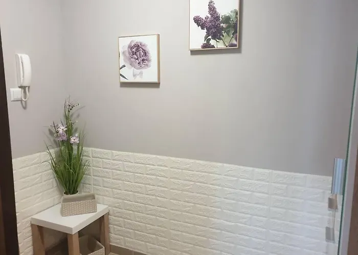 нов луксозен богоров в центъра на града Varna